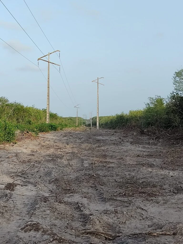 Equatorial Piauí investe em melhorias na região norte do estado