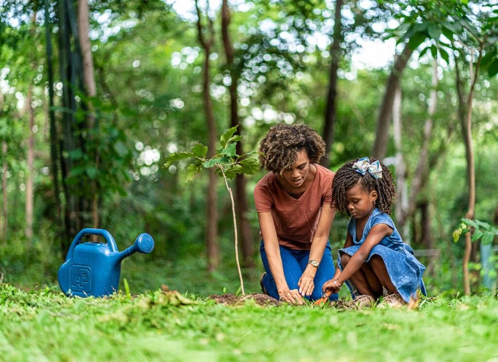 Compromisso de todos: Campanha chama atenção para a necessidade da poda de árvores