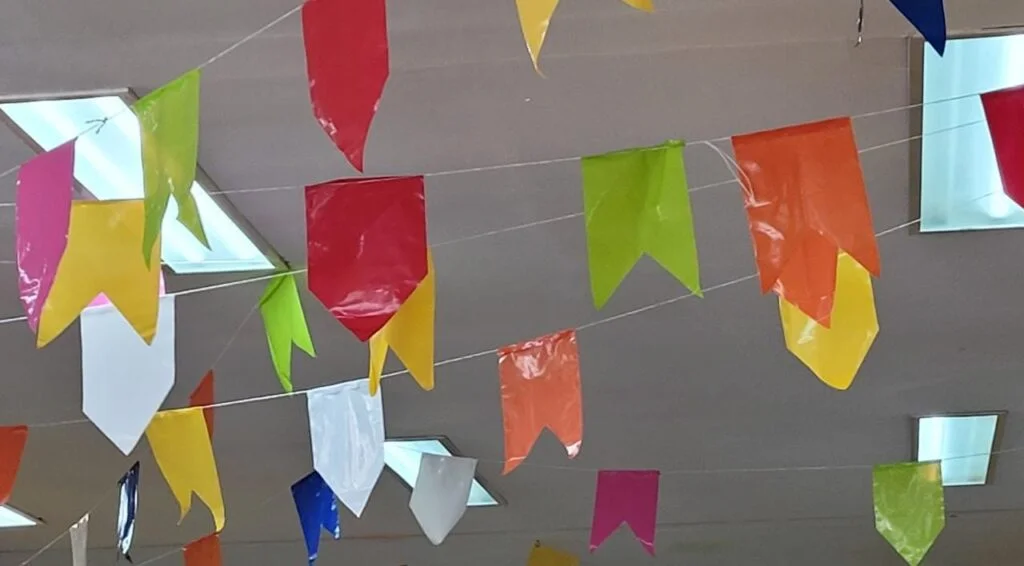 Equatorial dá dicas para festas de São João mais seguras