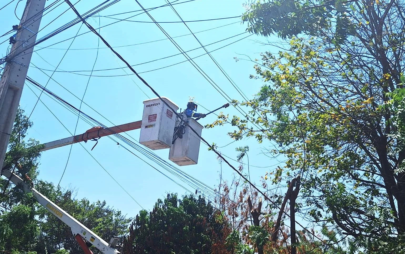 Equatorial Piauí reforça responsabilidades pela poda de árvores para manter a continuidade do fornecimento de energia