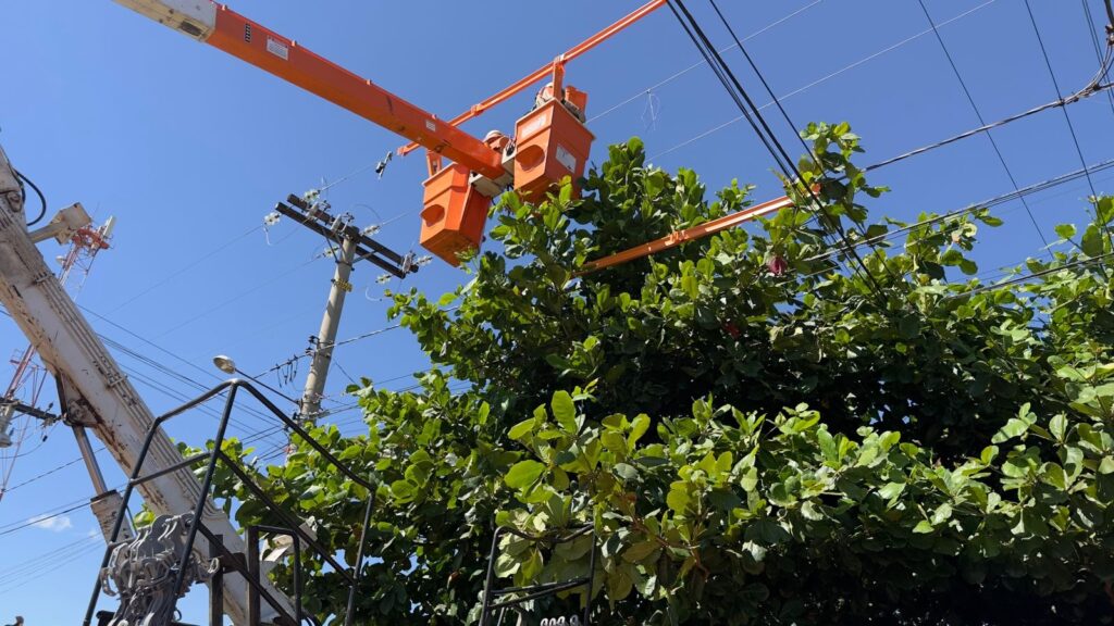 Apenas no primeiro trimestre de 2026, a Equatorial Piauí realizou quase 20 mil podas na rede elétrica